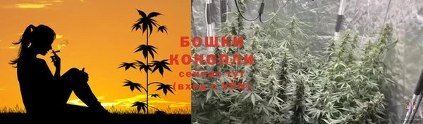 гидропоника Бородино