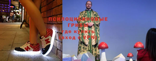 гидропоника Бородино