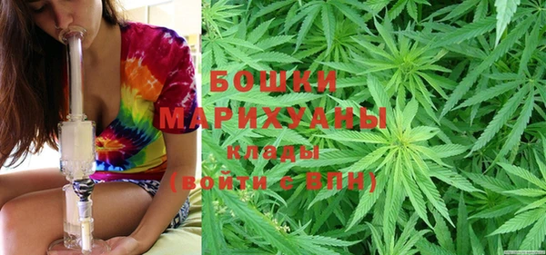ГАЛЛЮЦИНОГЕННЫЕ ГРИБЫ Бугульма
