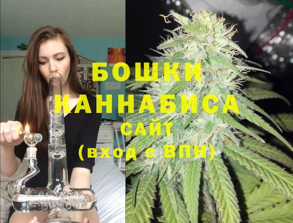гидропоника Бородино