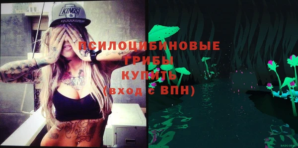 ПСИЛОЦИБИНОВЫЕ ГРИБЫ Верхнеуральск