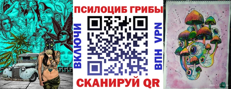 Псилоцибиновые грибы мицелий ОМГ ОМГ сайт Дрезна